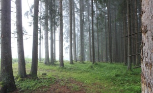 Eibl Holzhandel
